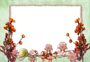 照片效果分类 女性相框 № 84165 照片效果分类 女性相框 № 84165