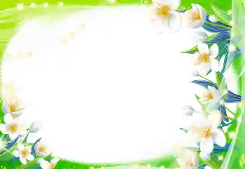 照片效果分类 女性相框 № 8470