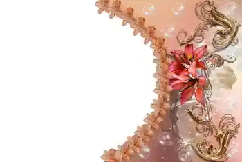 照片效果分类 女性相框 № 85309