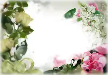 照片效果分类 女性相框 № 85356