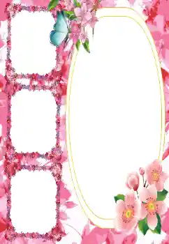 照片效果分类 女性相框 № 8547