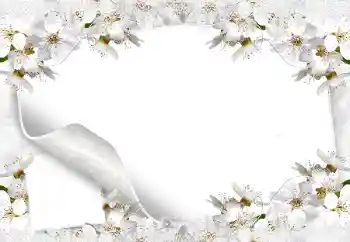 照片效果分类 女性相框 № 8554