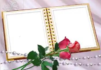 照片效果分类 女性相框 № 8629