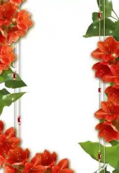 照片效果分类 女性相框 № 8632