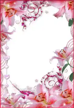 照片效果分类 女性相框 № 8634