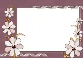 照片效果分类 女性相框 № 86584