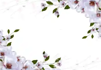 照片效果分类 女性相框 № 87722 照片效果分类 女性相框 № 87722