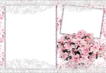 照片效果分类 女性相框 № 89229