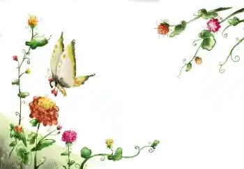照片效果分类 女性相框 № 89260
