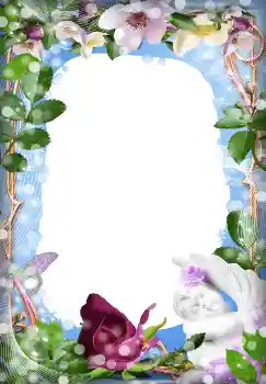 照片效果分类 女性相框 № 90593