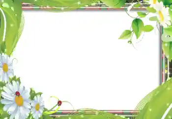 照片效果分类 女性相框 № 91653