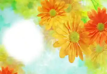 照片效果分类 女性相框 № 91723