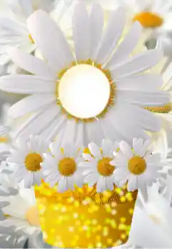 照片效果分类 女性相框 № 91798 照片效果分类 女性相框 № 91798