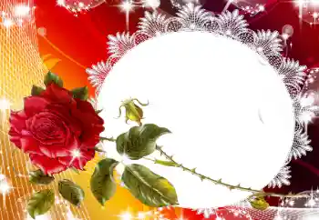 照片效果分类 女性相框 № 93130