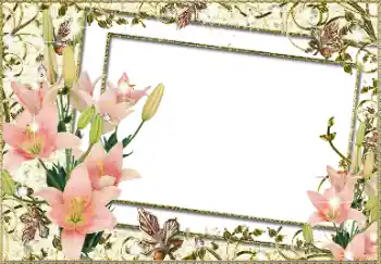 照片效果分类 女性相框 № 93279