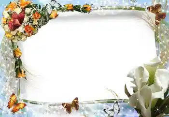 照片效果分类 女性相框 № 94609