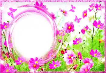 照片效果分类 女性相框 № 94713