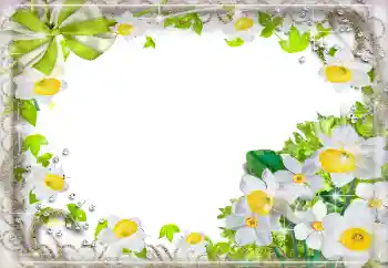 照片效果分类 女性相框 № 94724