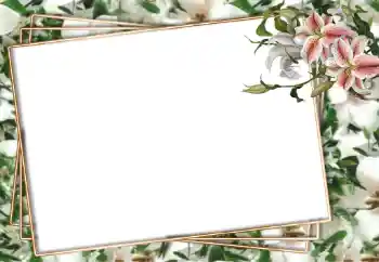 照片效果分类 女性相框 № 94751