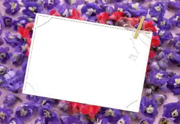 照片效果分类 女性相框 № 9481