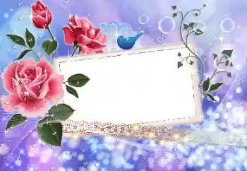 照片效果分类 女性相框 № 9524