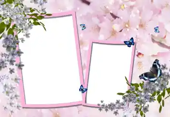 照片效果分类 女性相框 № 95900
