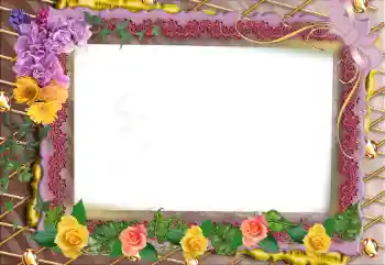 照片效果分类 女性相框 № 95902