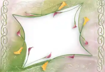 照片效果分类 女性相框 № 96114 照片效果分类 女性相框 № 96114