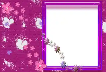 照片效果分类 女性相框 № 96165 照片效果分类 女性相框 № 96165