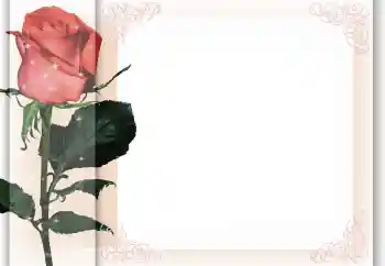 照片效果分类 女性相框 № 96405 照片效果分类 女性相框 № 96405