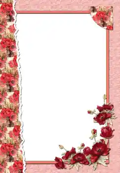 照片效果分类 女性相框 № 9696
