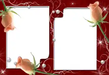 照片效果分类 女性相框 № 9716