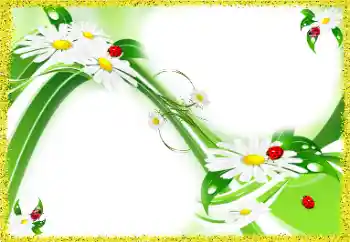 照片效果分类 女性相框 № 97688 照片效果分类 女性相框 № 97688